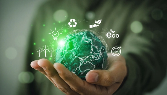 Sustainability & ESG Capability Building