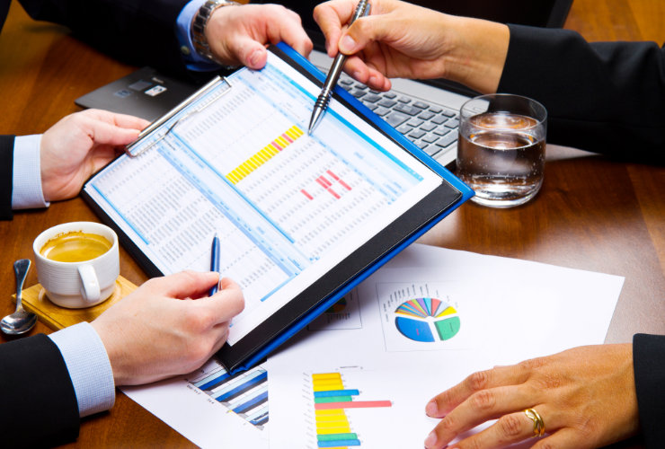 Vendor Development and Audit